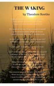 The Waking